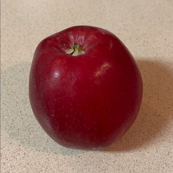 lily_cash